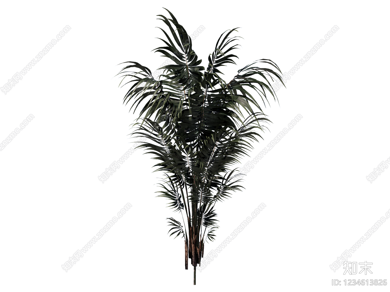 灌木SU模型下载【ID:1234613826】