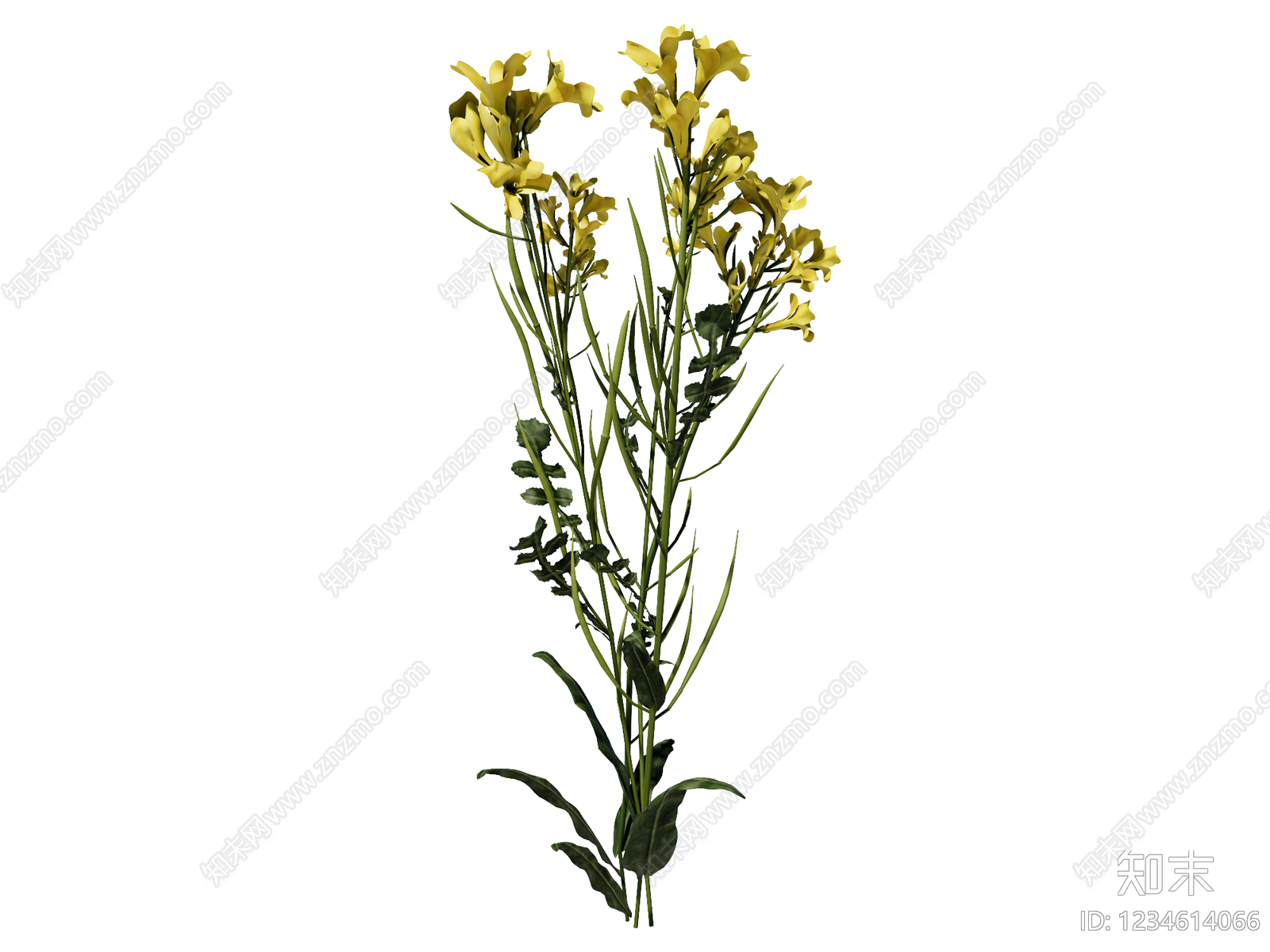花草SU模型下载【ID:1234614066】