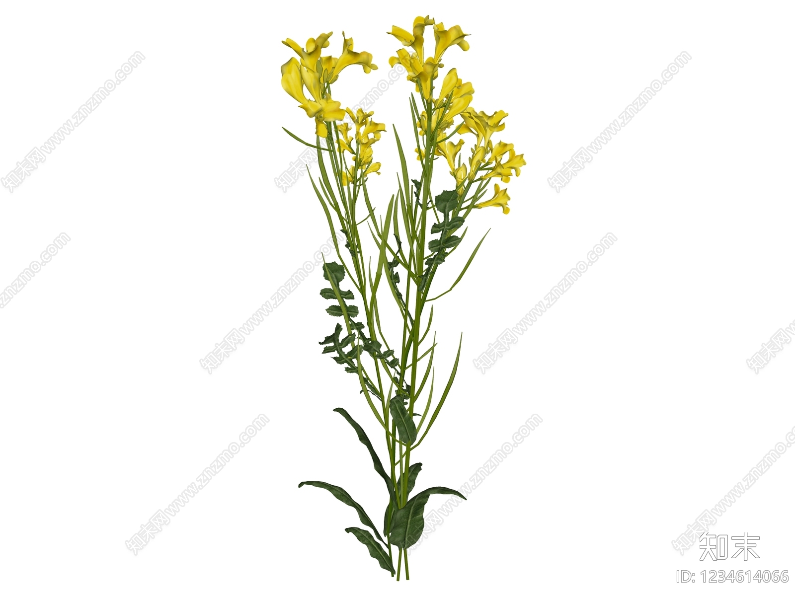 花草SU模型下载【ID:1234614066】