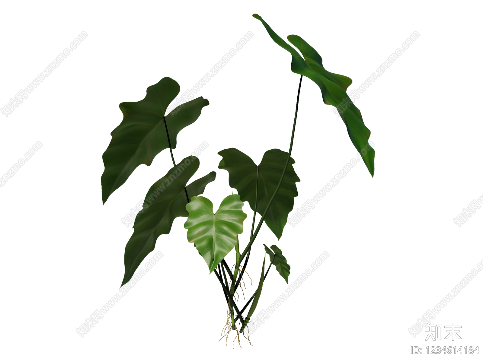 草本植物SU模型下载【ID:1234614184】