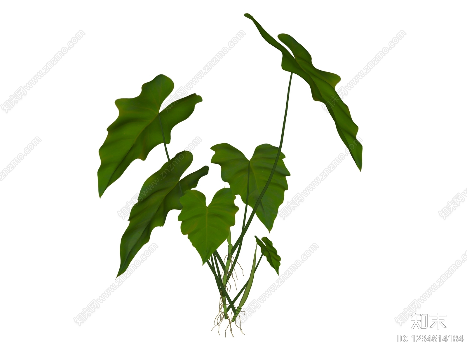 草本植物SU模型下载【ID:1234614184】