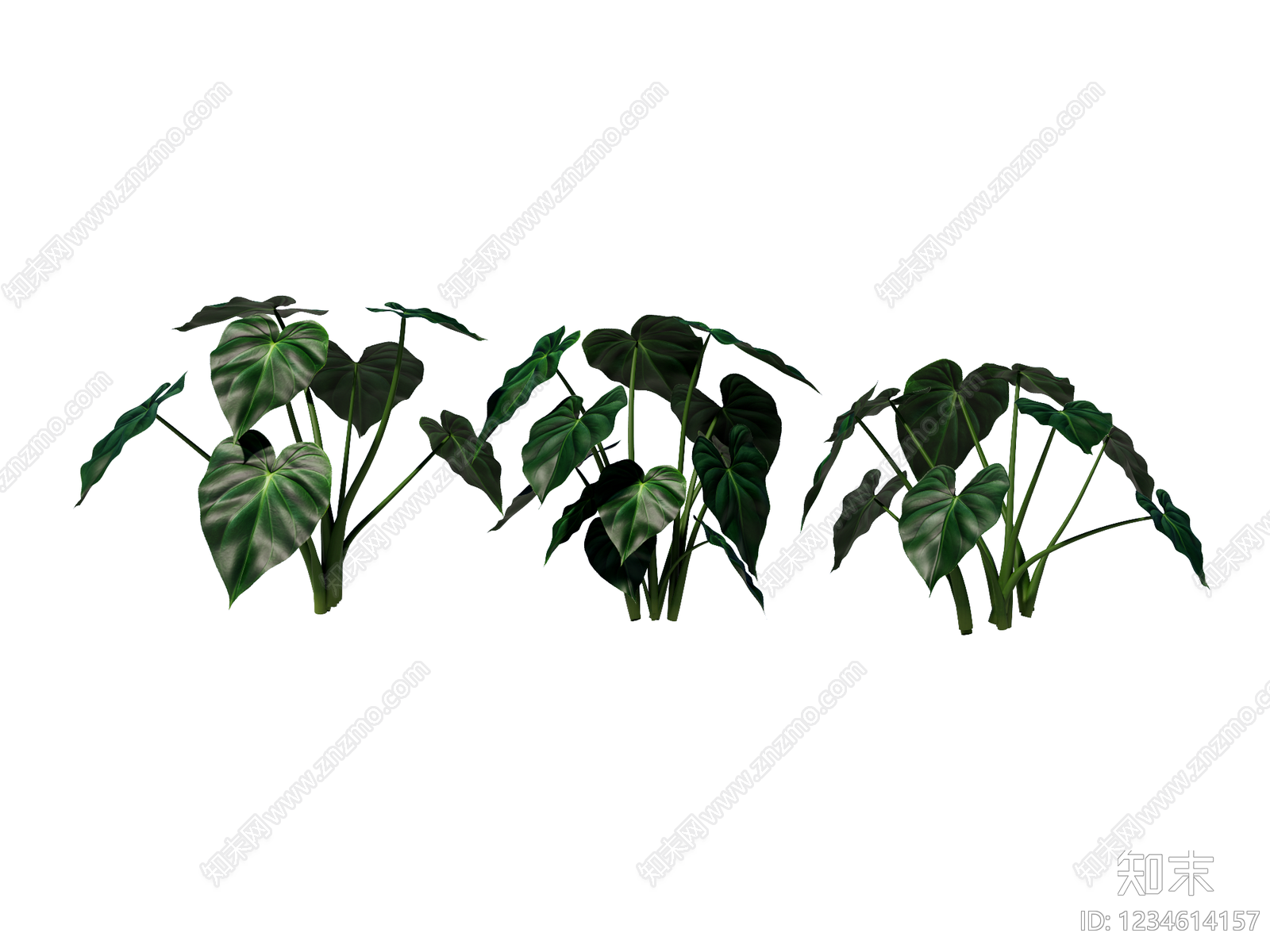 草本植物SU模型下载【ID:1234614157】