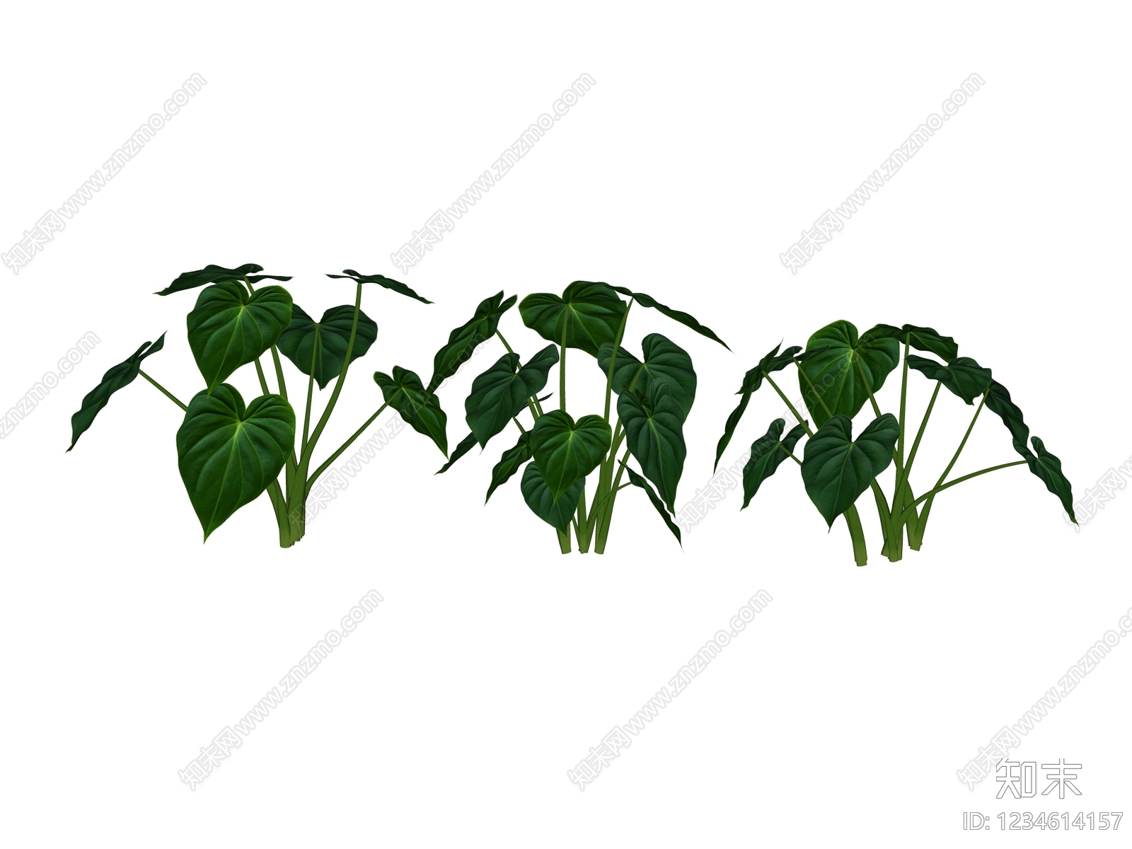 草本植物SU模型下载【ID:1234614157】