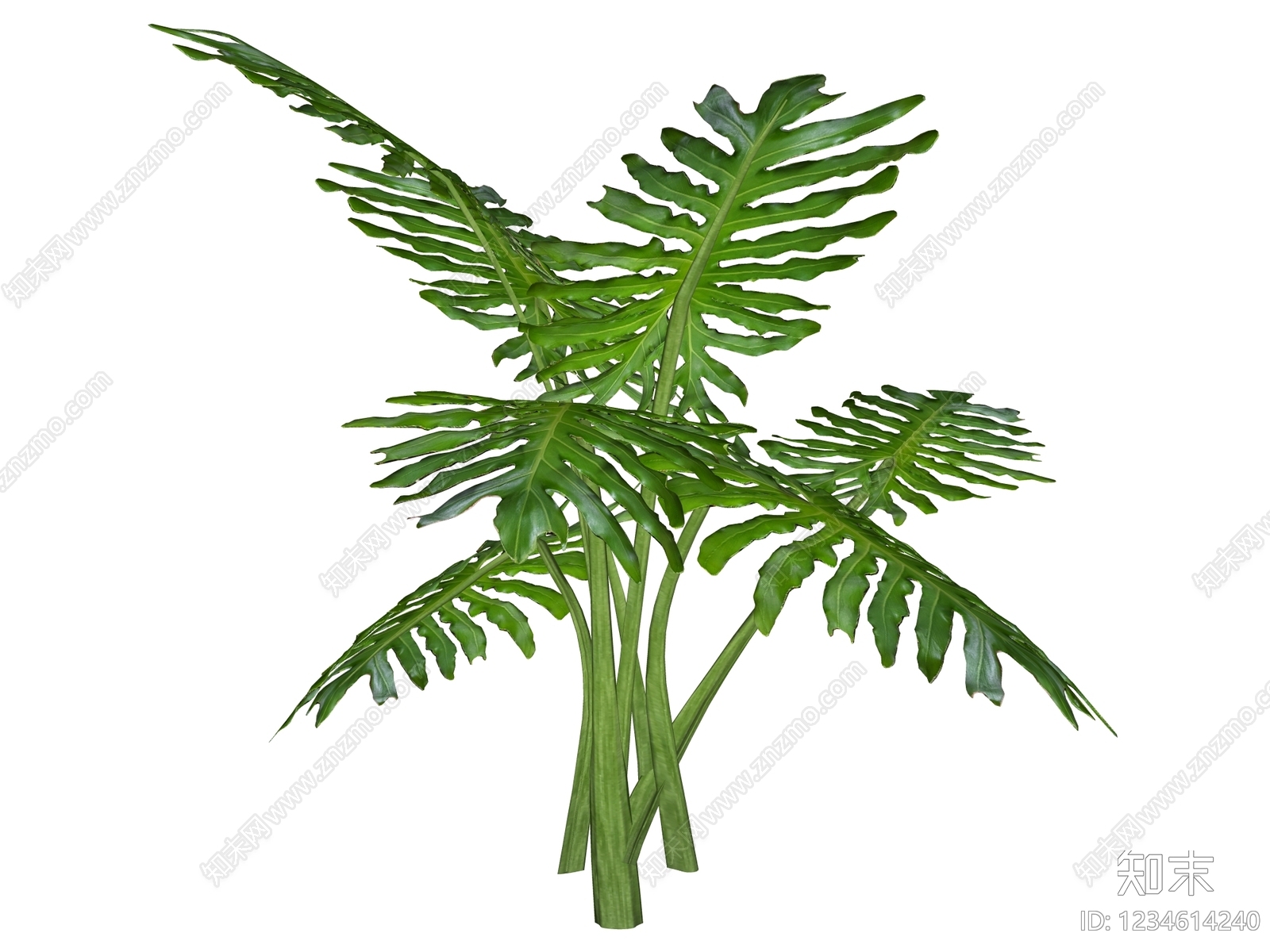 草本植物SU模型下载【ID:1234614240】