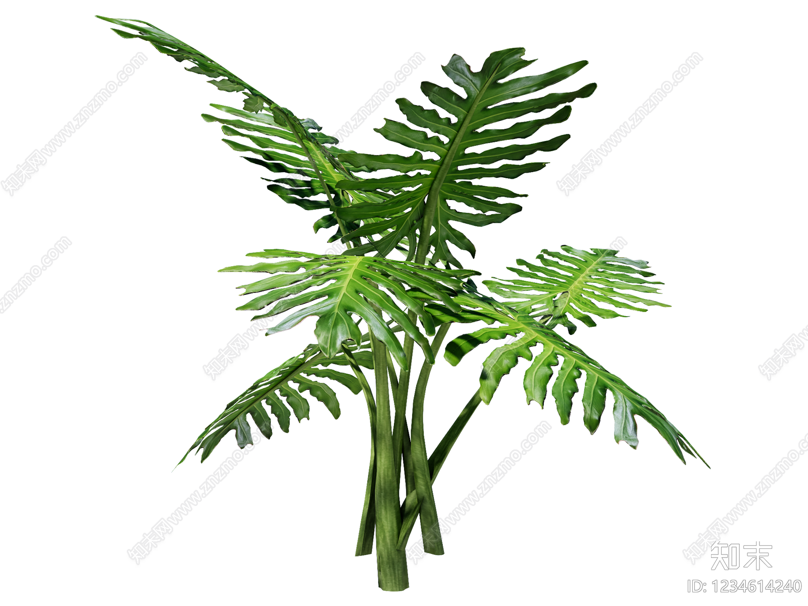 草本植物SU模型下载【ID:1234614240】
