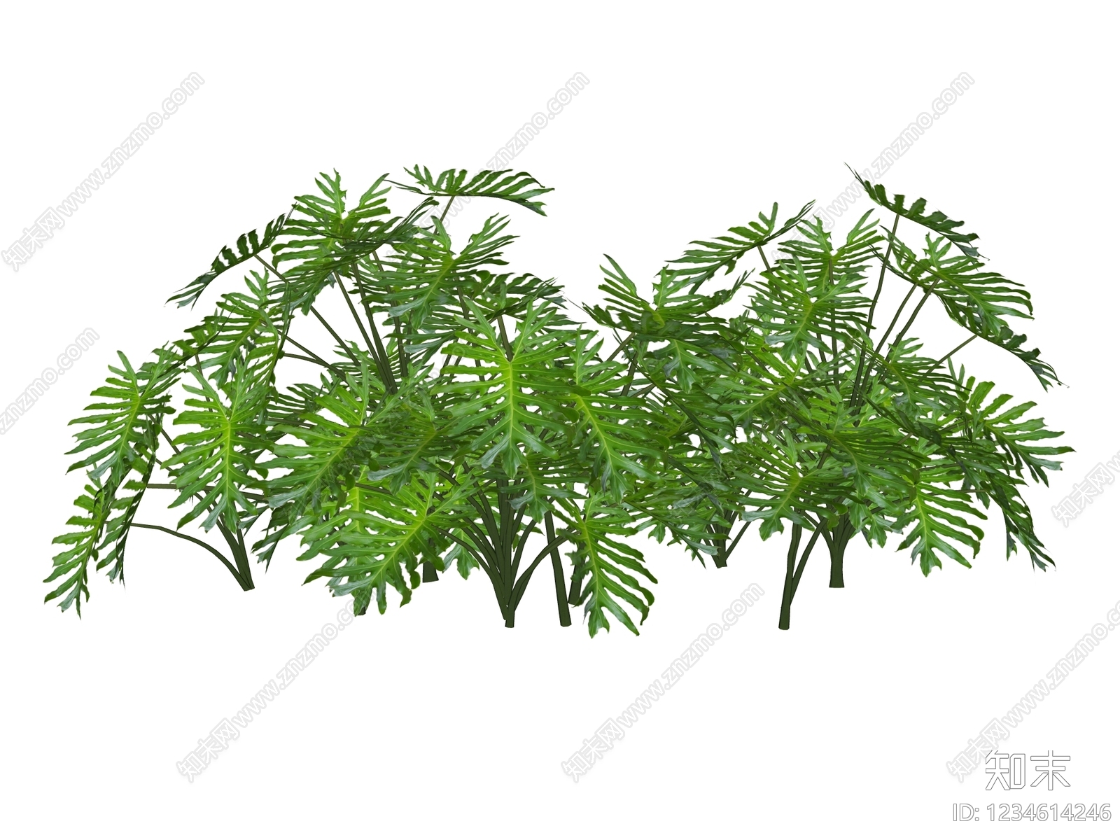 草本植物SU模型下载【ID:1234614246】