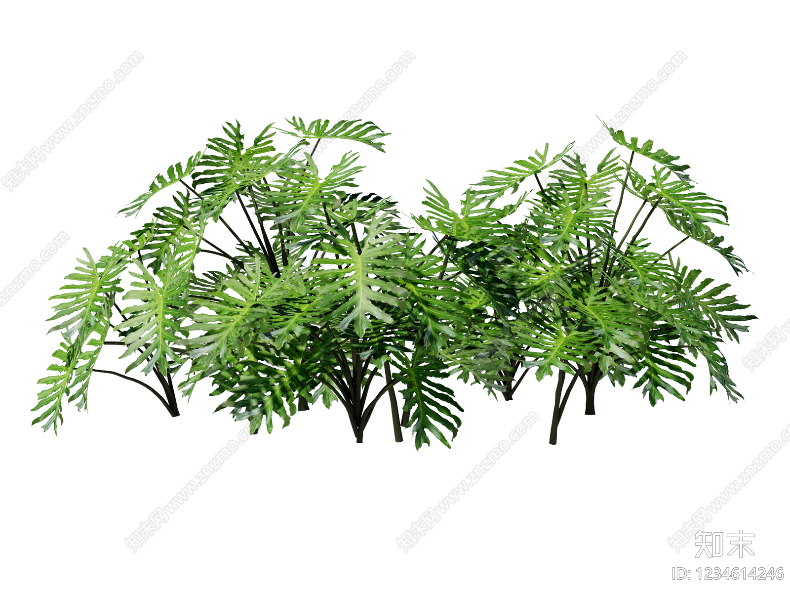 草本植物SU模型下载【ID:1234614246】
