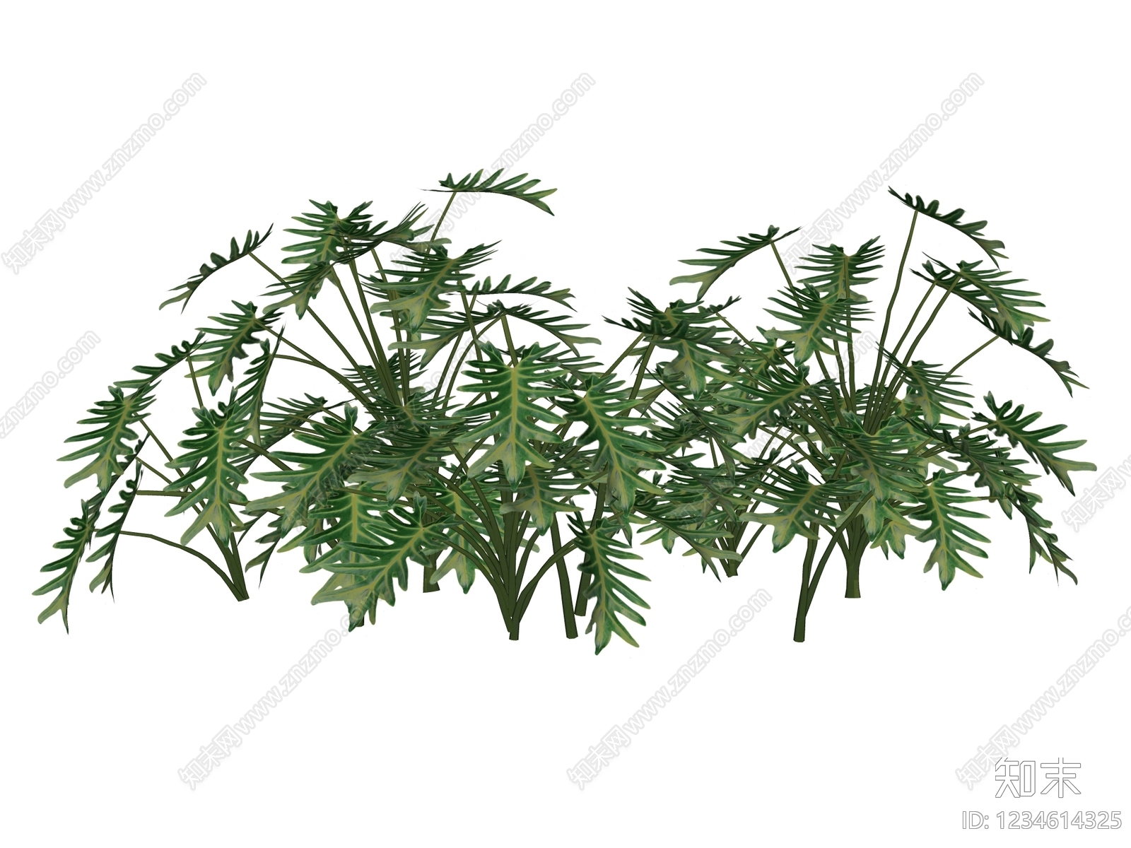 草本植物SU模型下载【ID:1234614325】