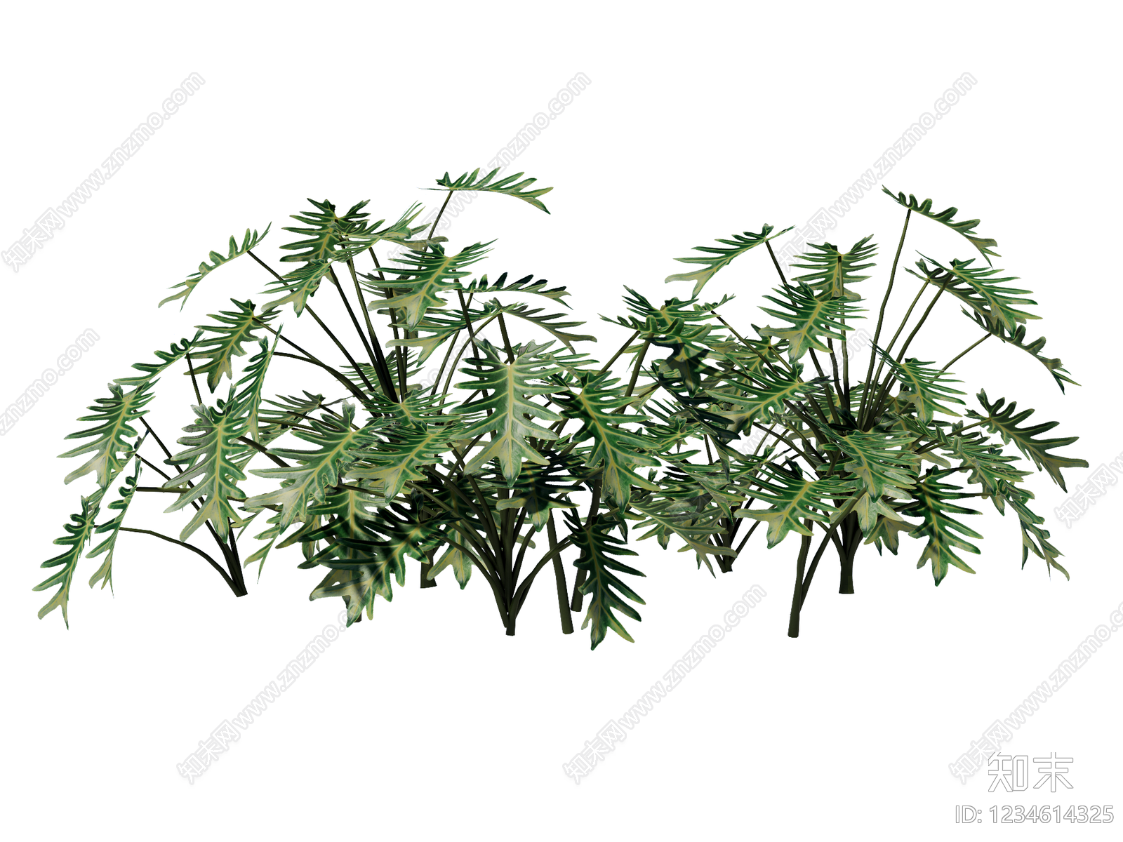 草本植物SU模型下载【ID:1234614325】