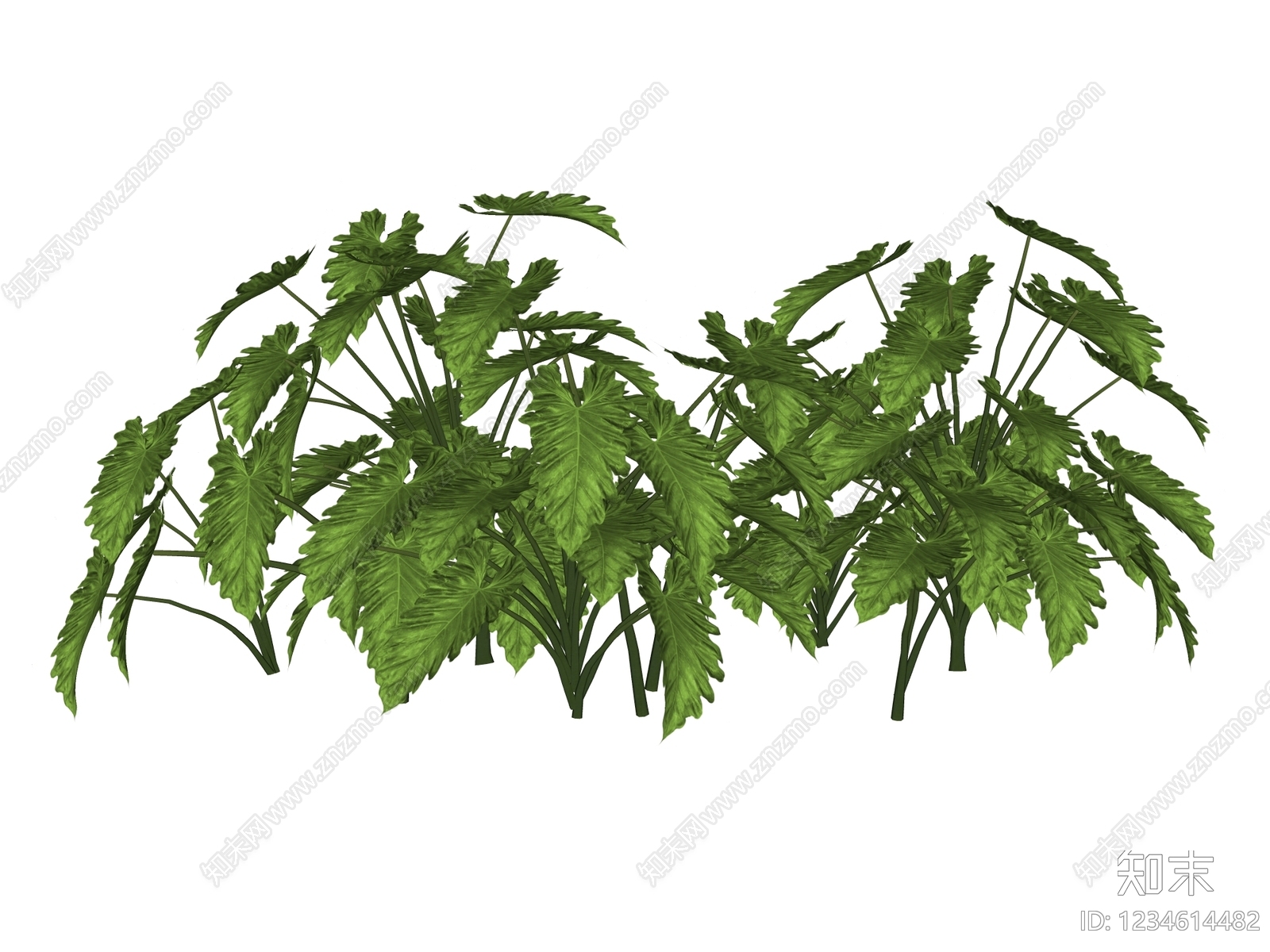 草本植物SU模型下载【ID:1234614482】