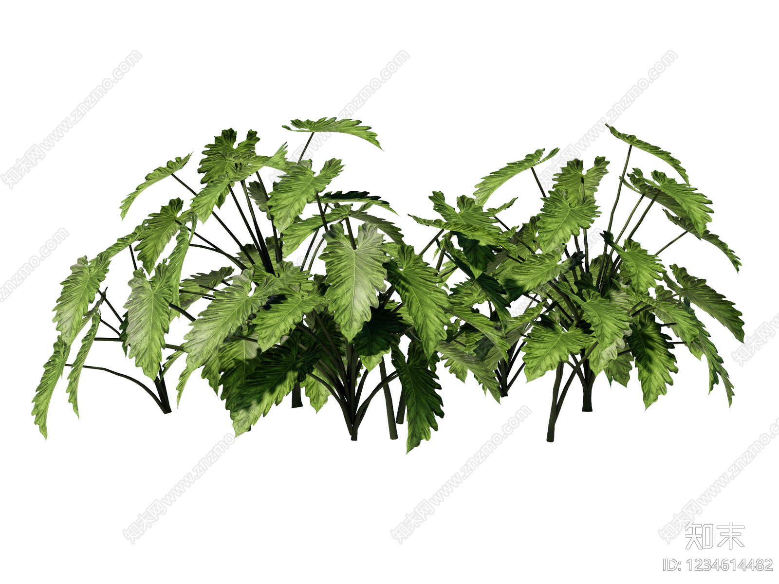 草本植物SU模型下载【ID:1234614482】