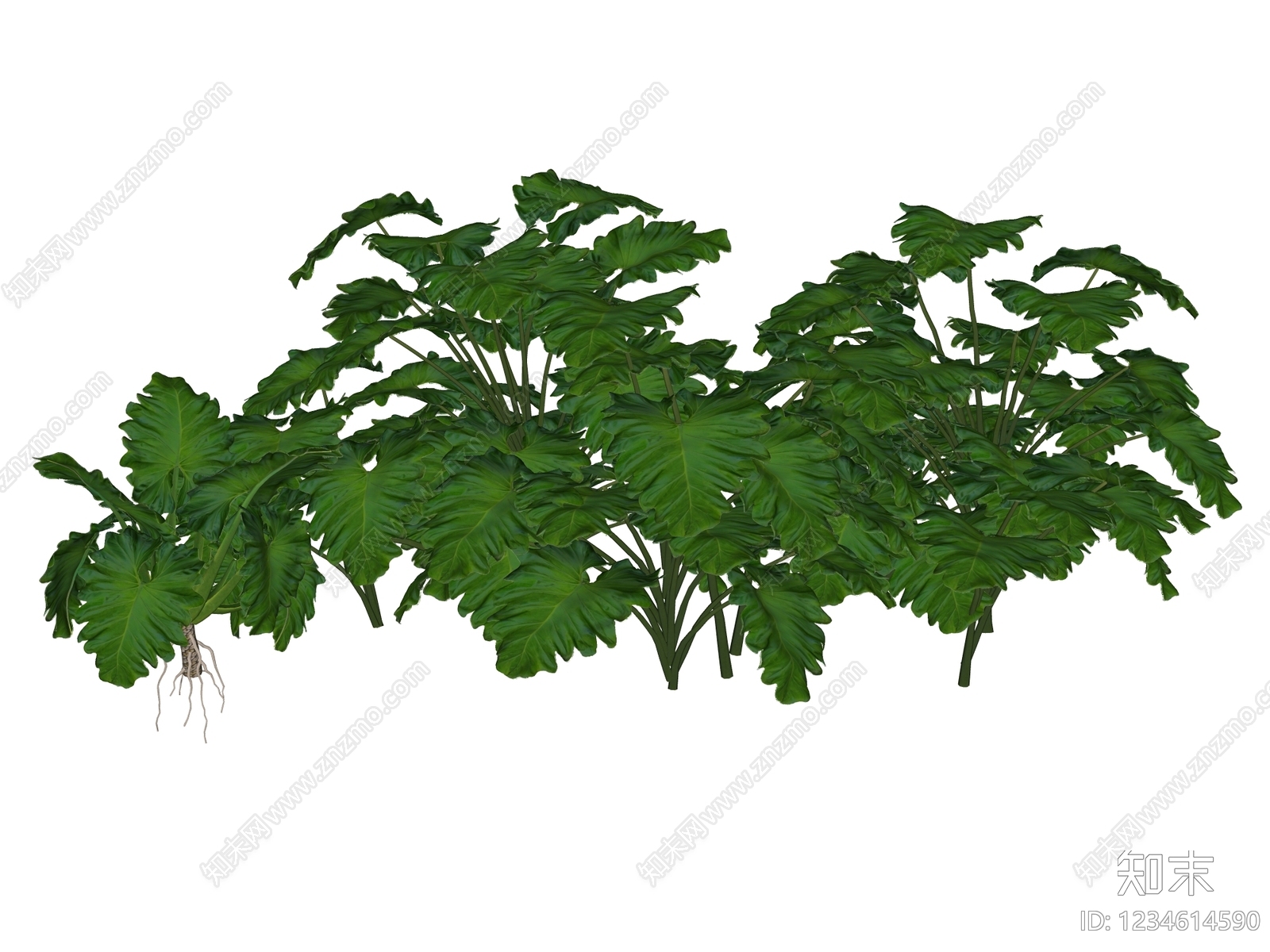 草本植物SU模型下载【ID:1234614590】