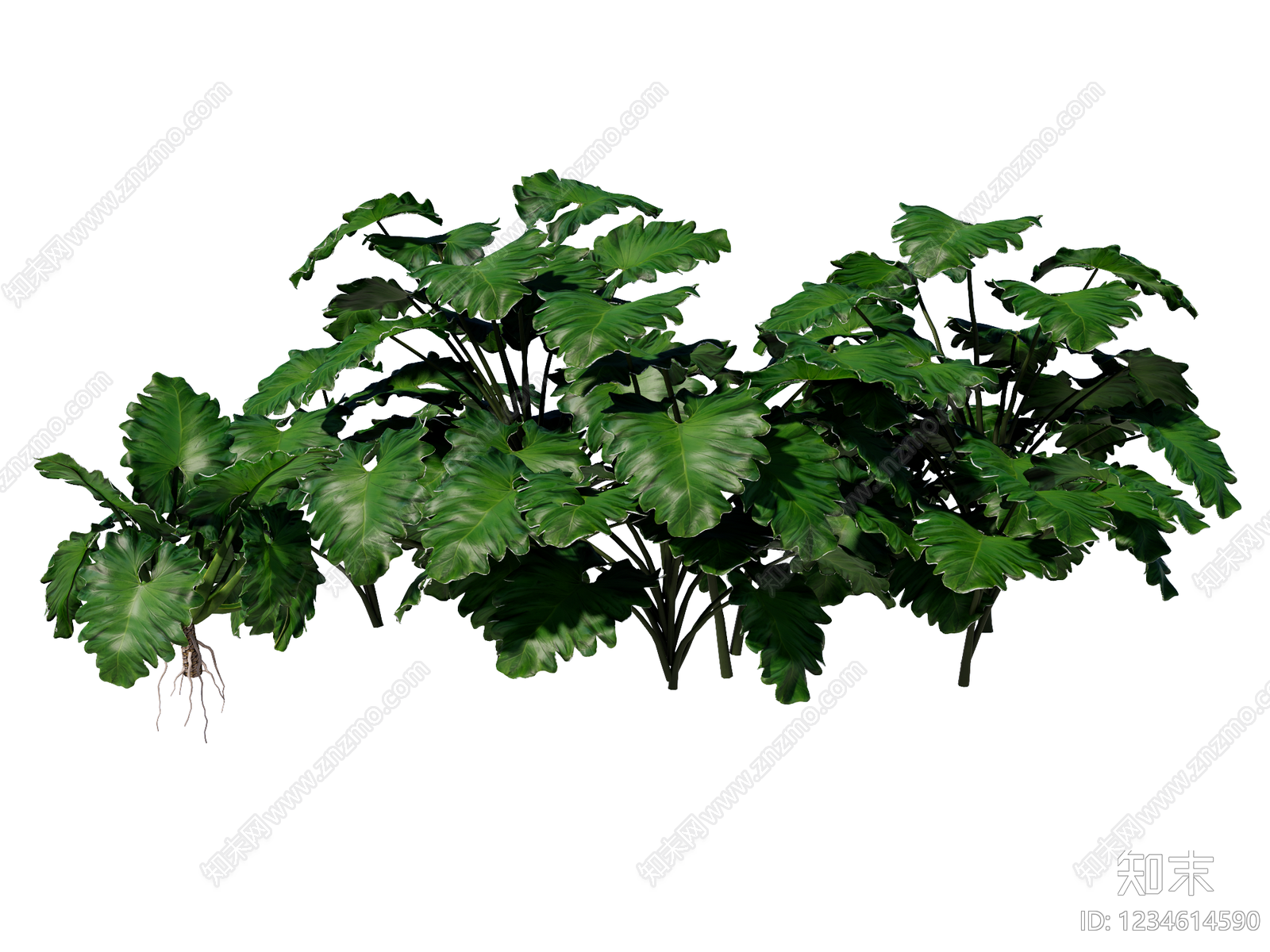 草本植物SU模型下载【ID:1234614590】