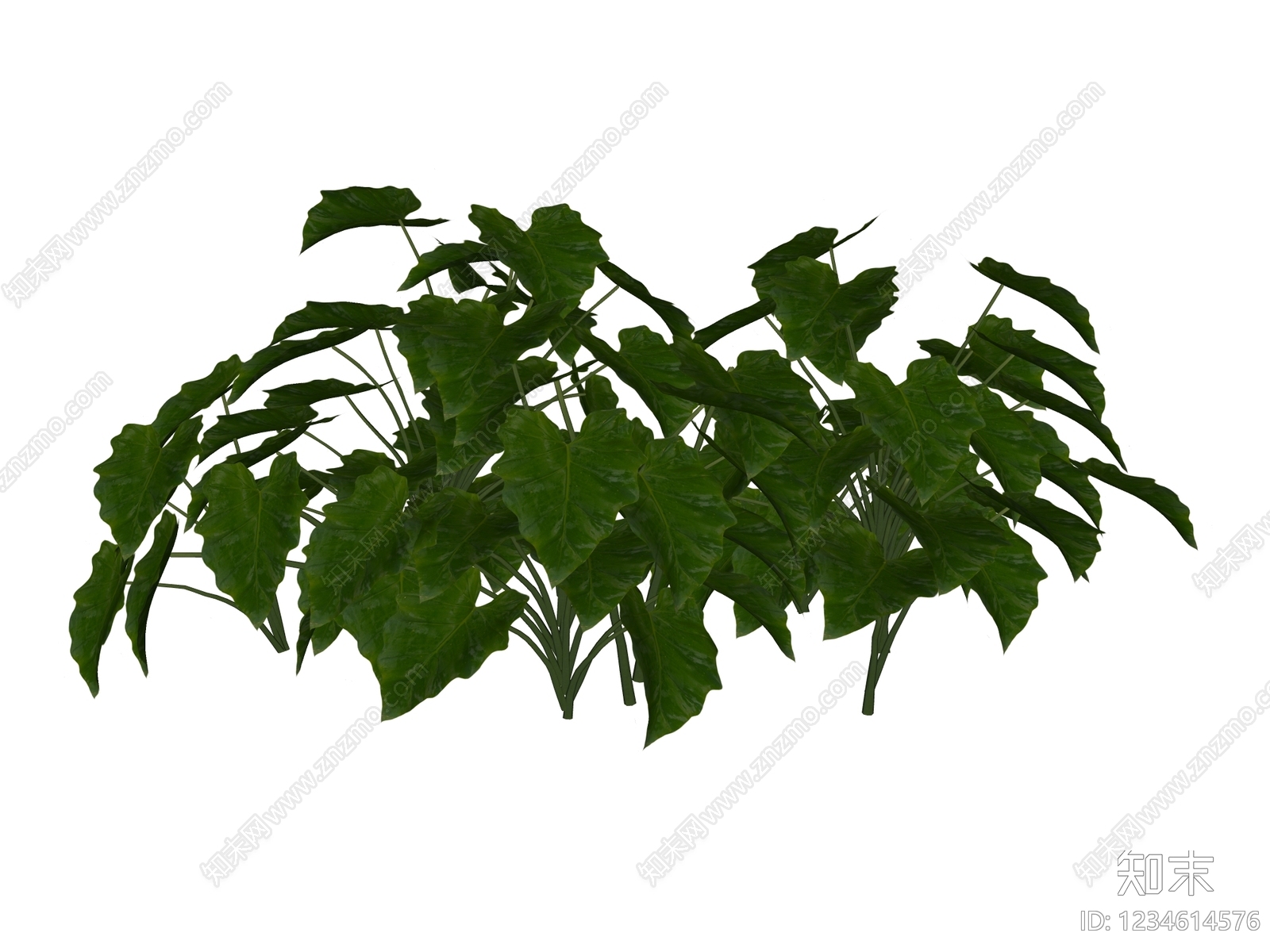 草本植物SU模型下载【ID:1234614576】
