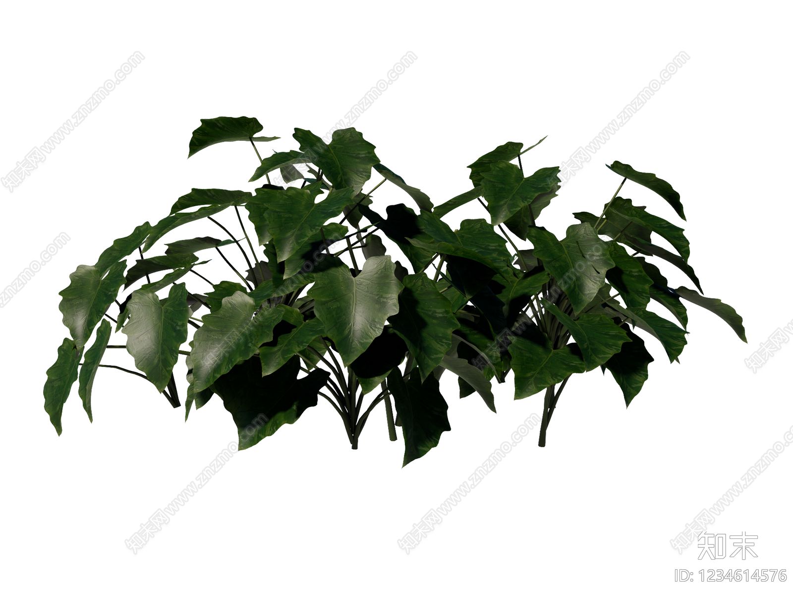 草本植物SU模型下载【ID:1234614576】