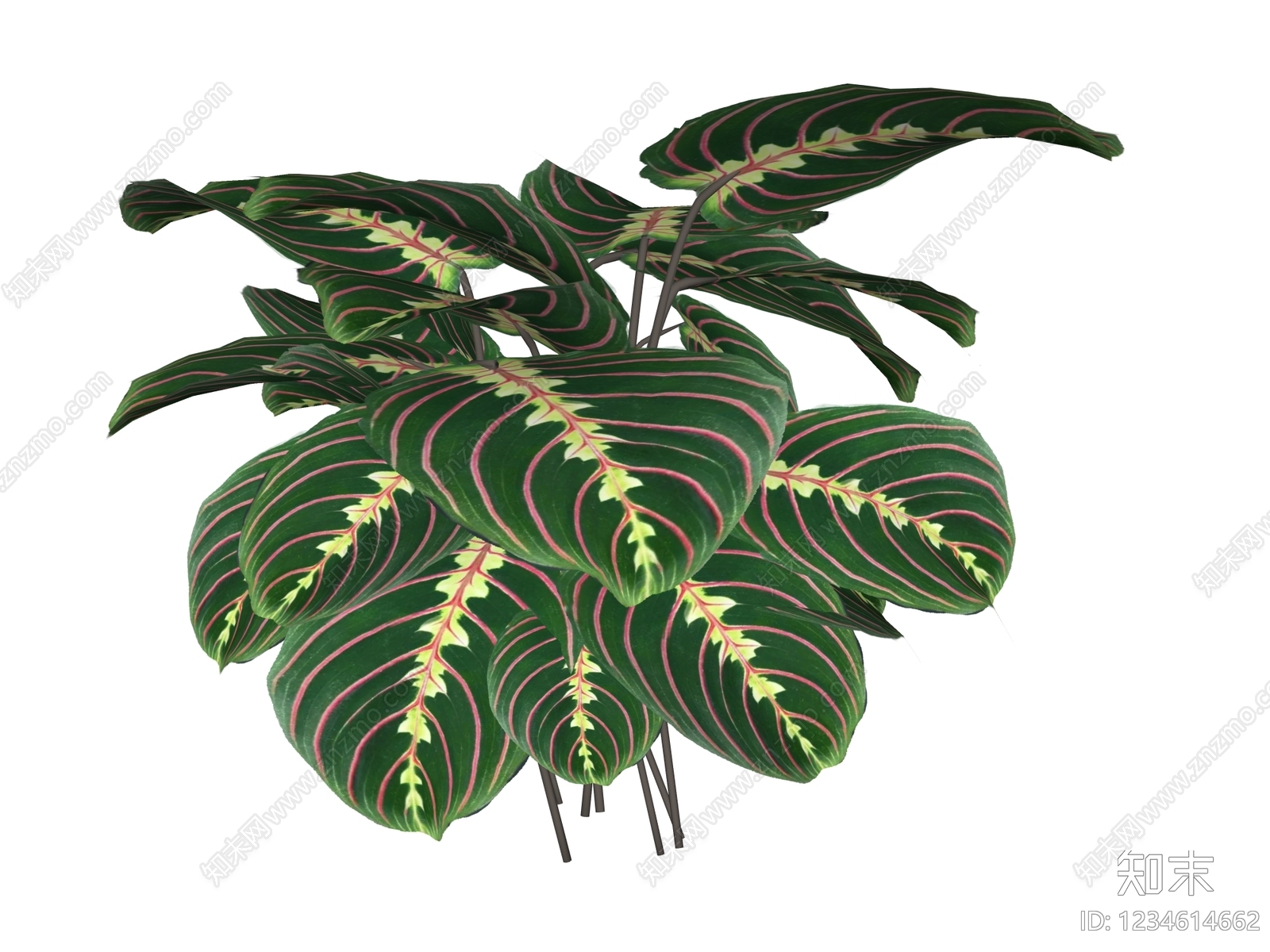 草本植物SU模型下载【ID:1234614662】