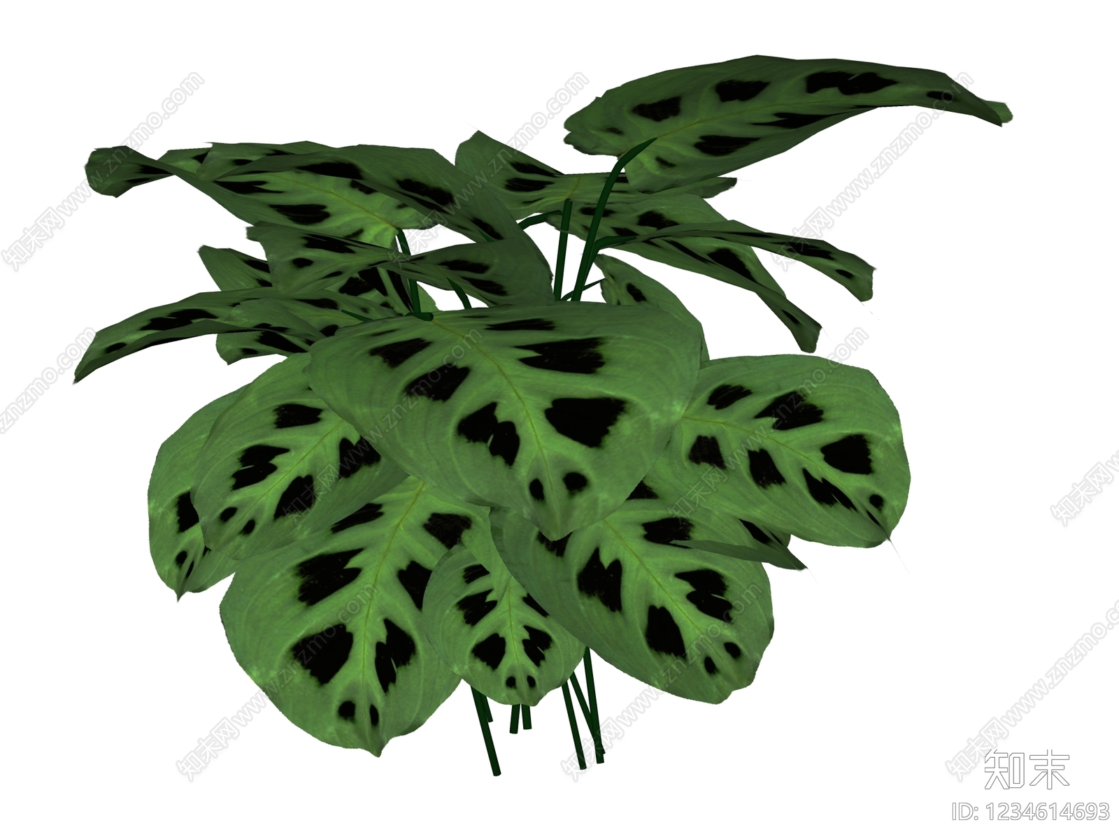 草本植物SU模型下载【ID:1234614693】