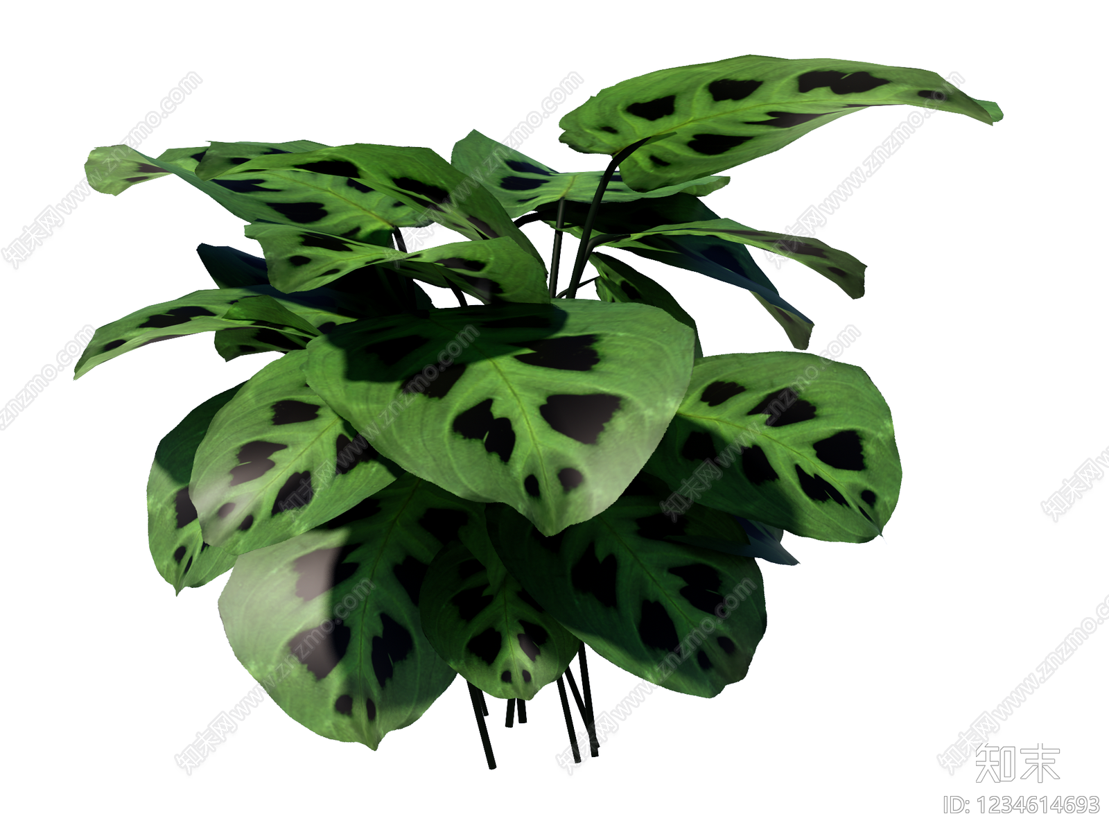 草本植物SU模型下载【ID:1234614693】