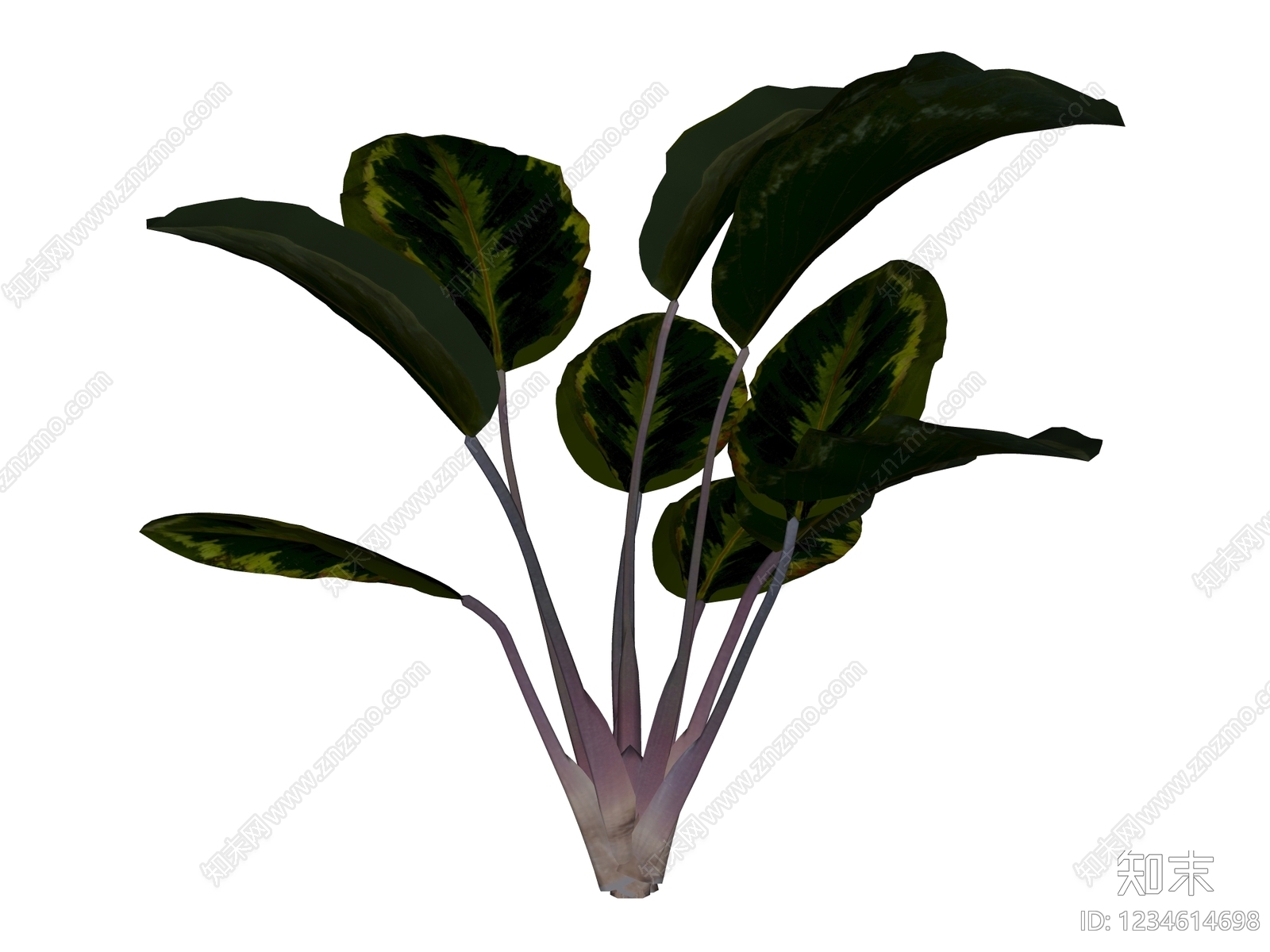 草本植物SU模型下载【ID:1234614698】