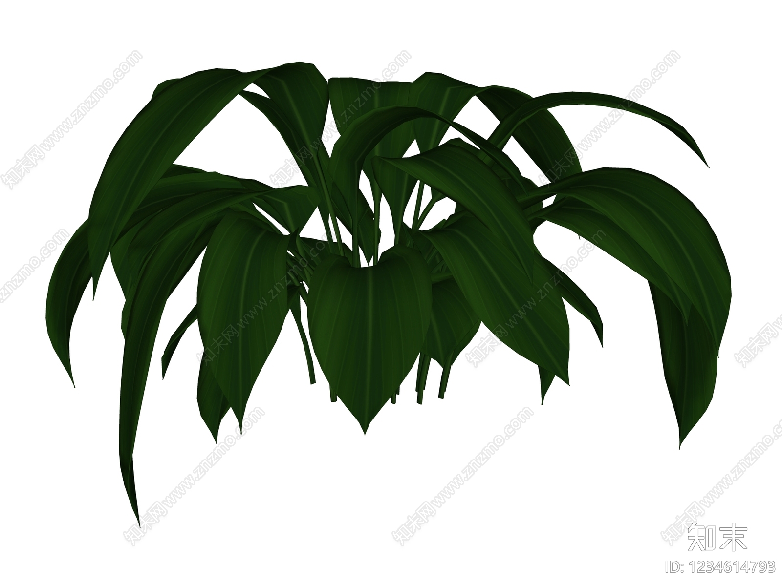 草本植物SU模型下载【ID:1234614793】