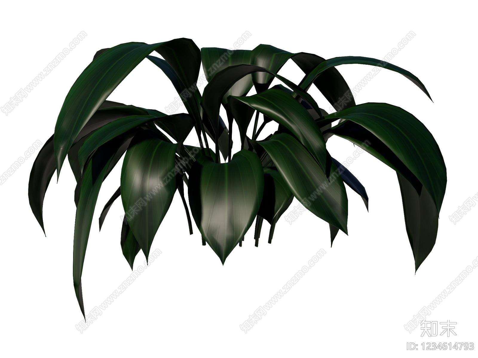 草本植物SU模型下载【ID:1234614793】