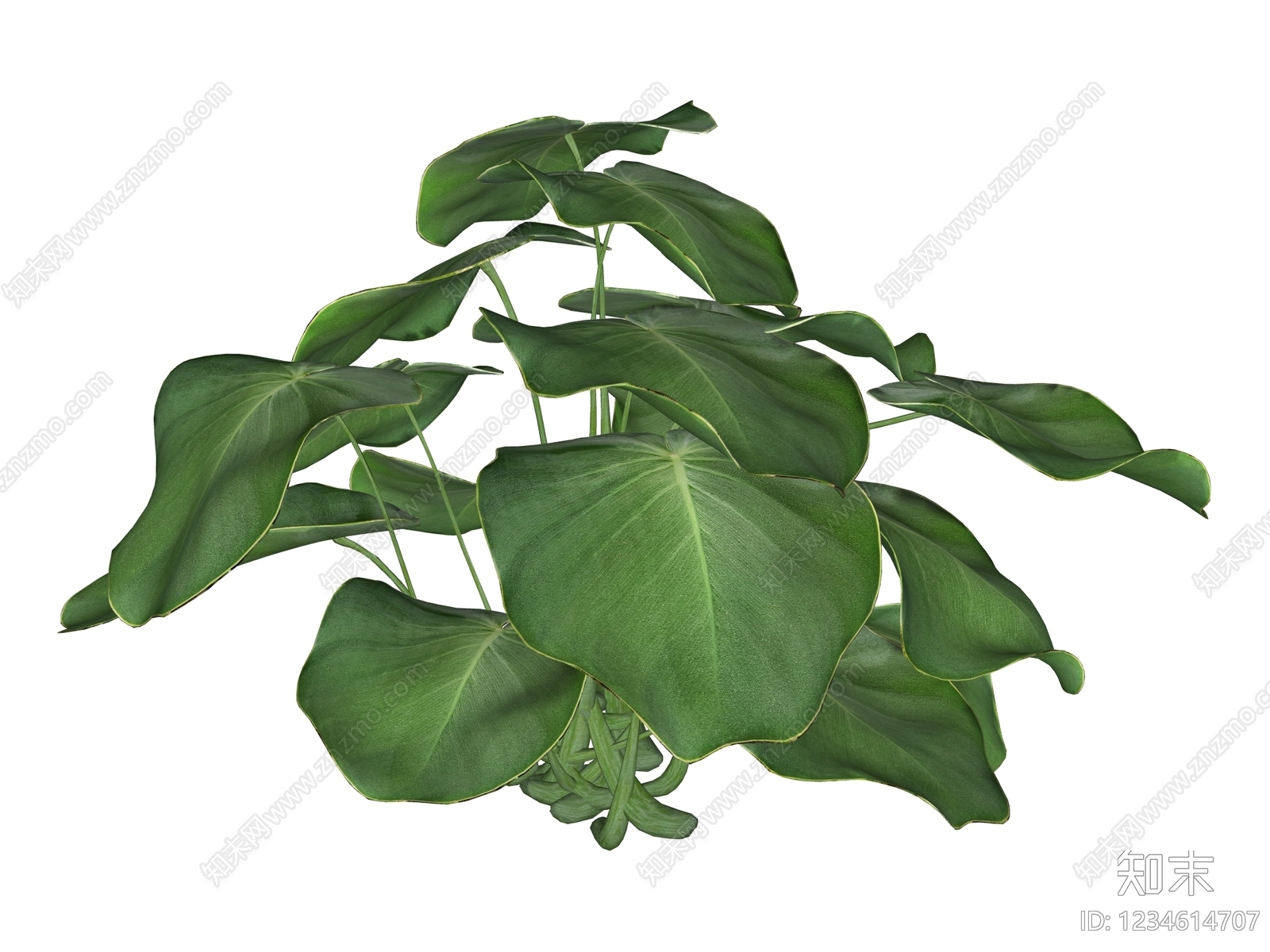 草本植物SU模型下载【ID:1234614707】