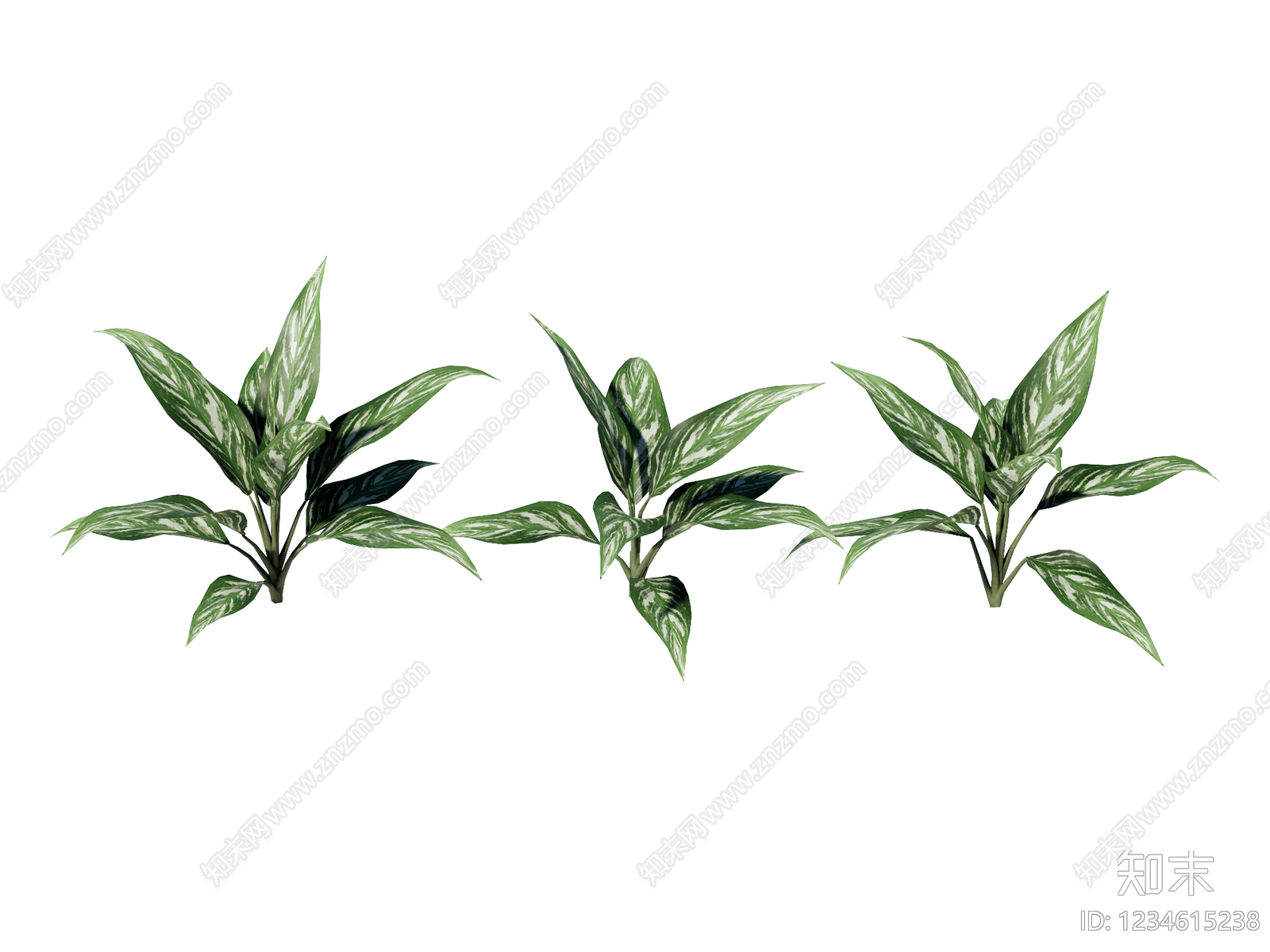 草本植物SU模型下载【ID:1234615238】