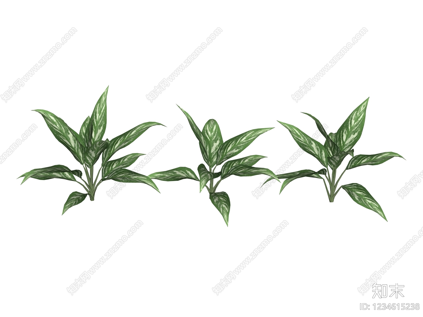 草本植物SU模型下载【ID:1234615238】