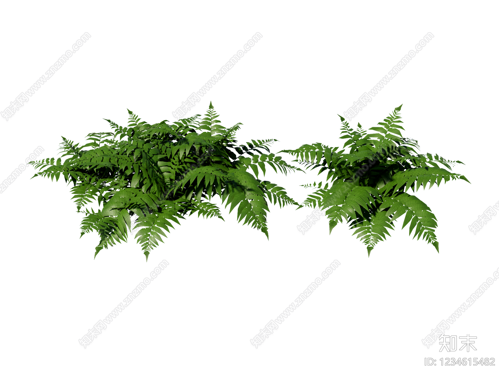 草本植物SU模型下载【ID:1234615482】