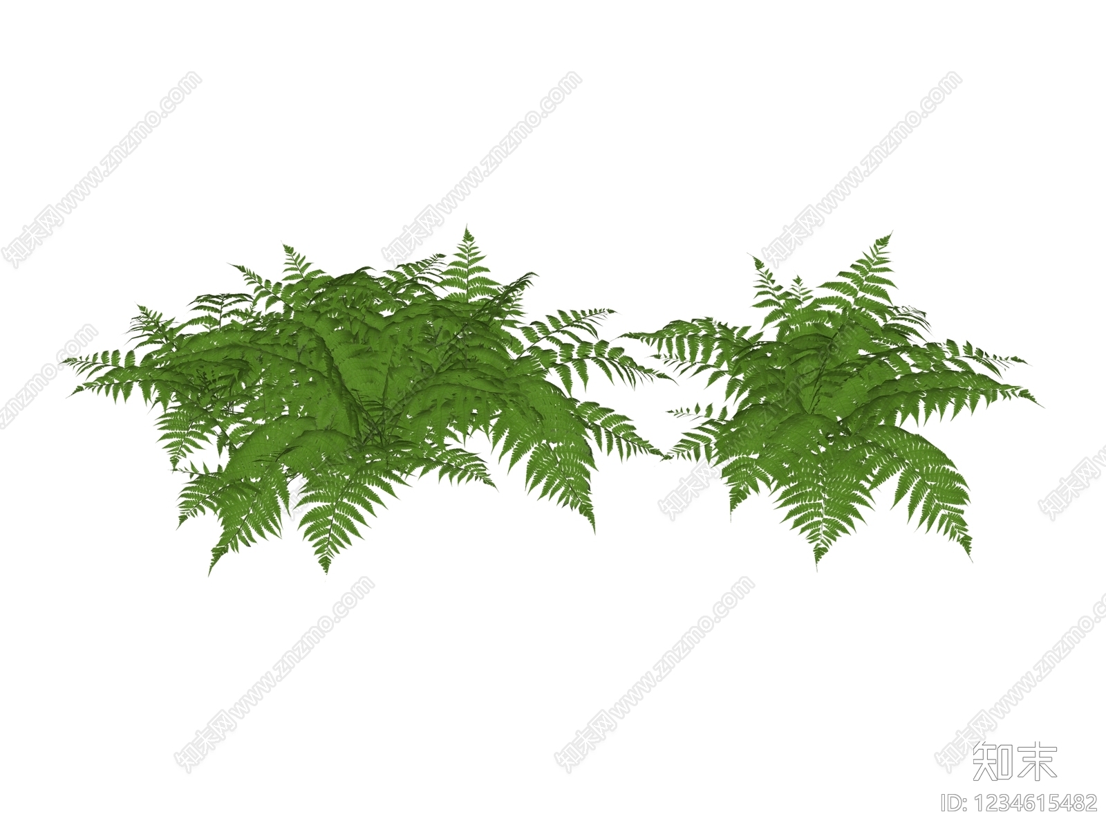草本植物SU模型下载【ID:1234615482】