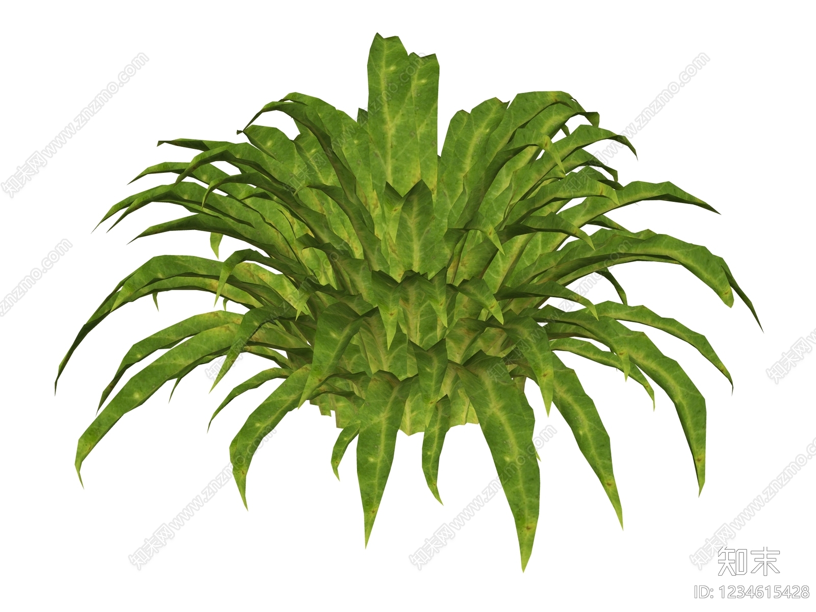 草本植物SU模型下载【ID:1234615428】