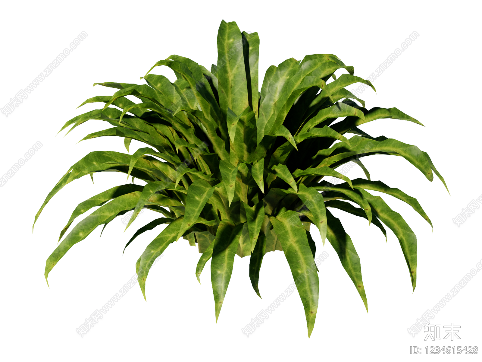 草本植物SU模型下载【ID:1234615428】