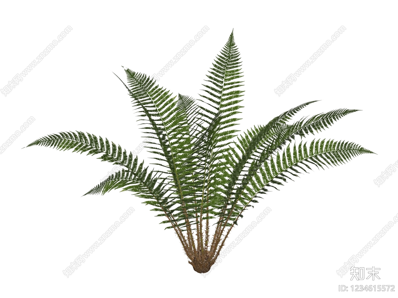草本植物SU模型下载【ID:1234615572】