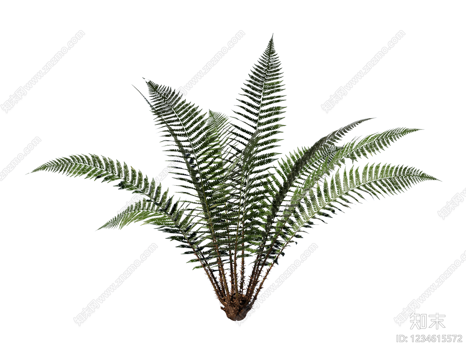 草本植物SU模型下载【ID:1234615572】