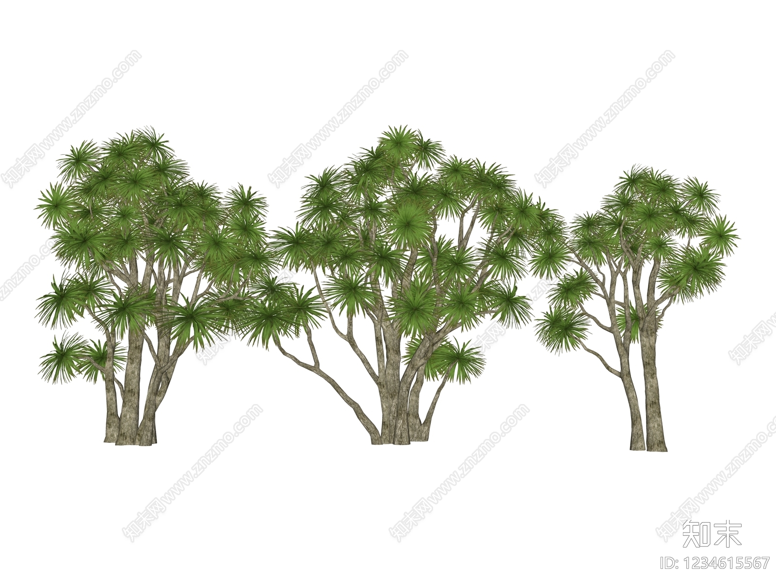 乔木SU模型下载【ID:1234615567】