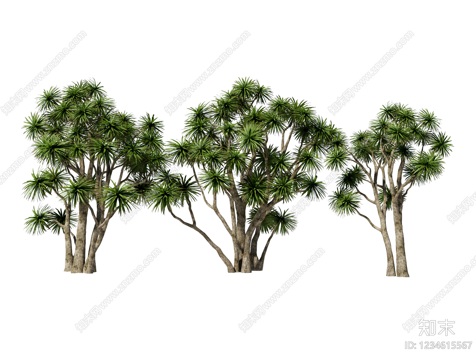 乔木SU模型下载【ID:1234615567】