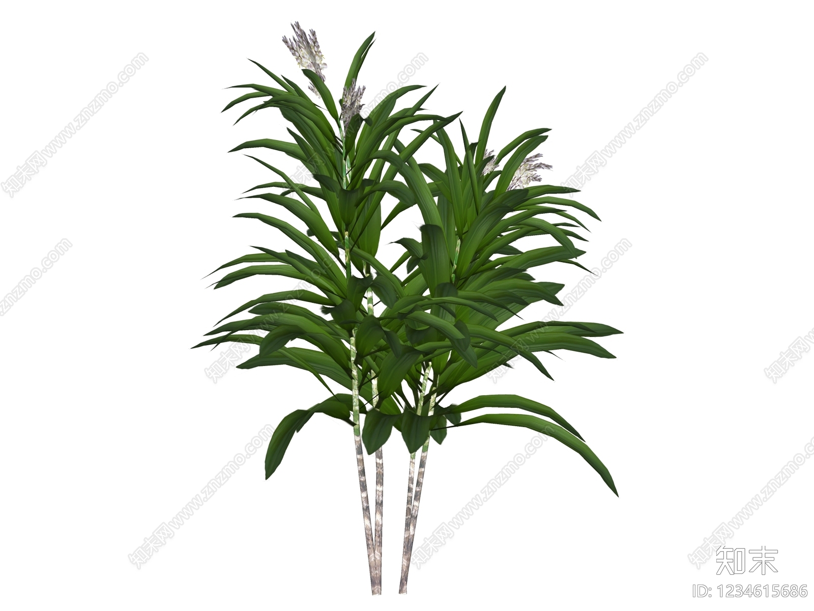 草本植物SU模型下载【ID:1234615686】