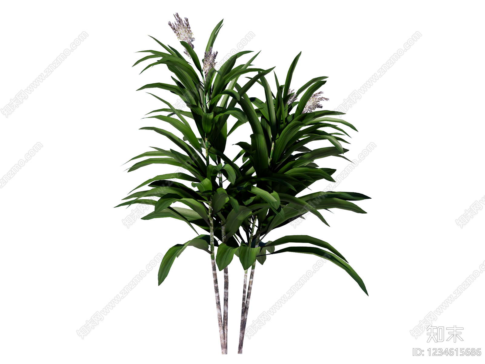 草本植物SU模型下载【ID:1234615686】