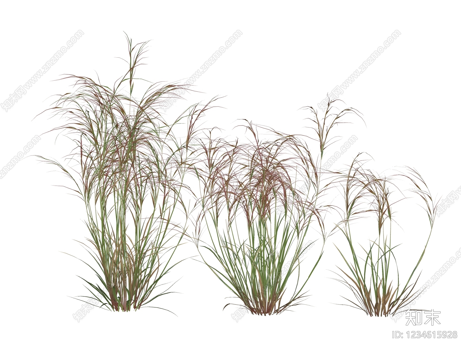 草本植物SU模型下载【ID:1234615928】