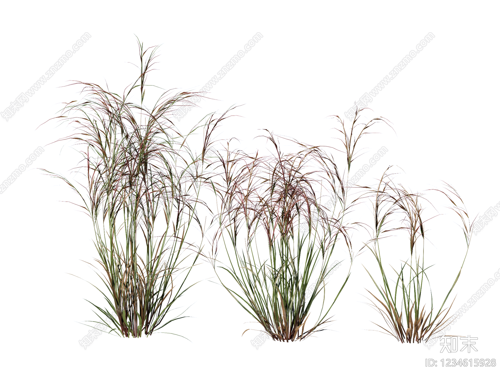草本植物SU模型下载【ID:1234615928】