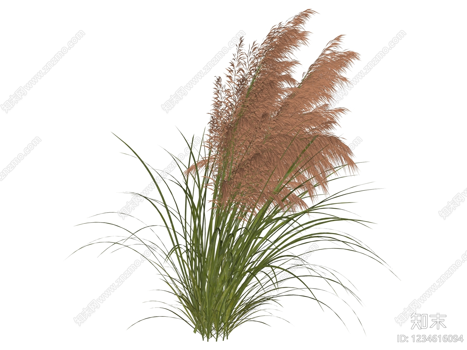 草本植物SU模型下载【ID:1234616094】