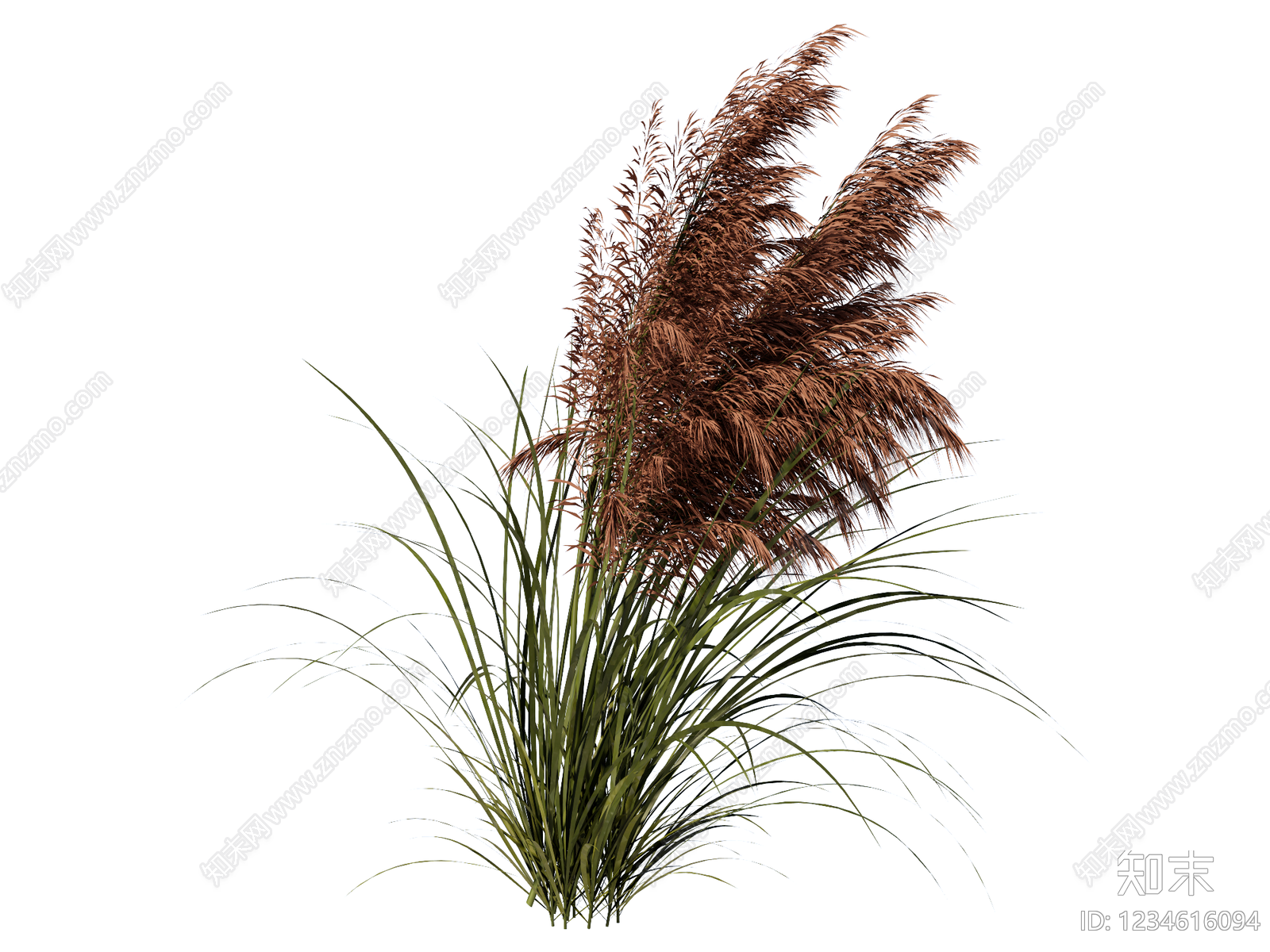 草本植物SU模型下载【ID:1234616094】