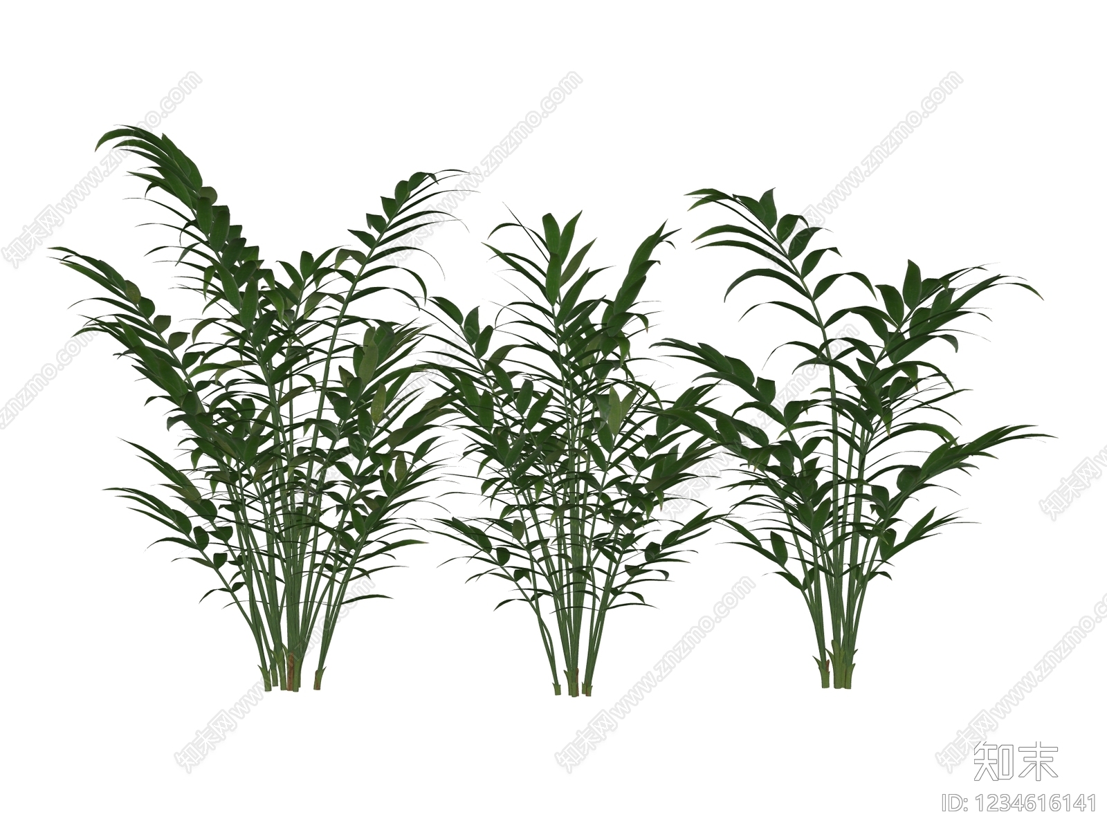 灌木SU模型下载【ID:1234616141】