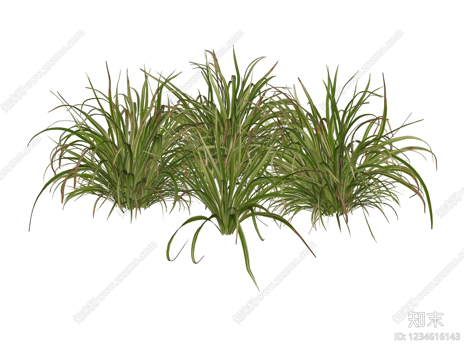 草本植物SU模型下载【ID:1234616143】