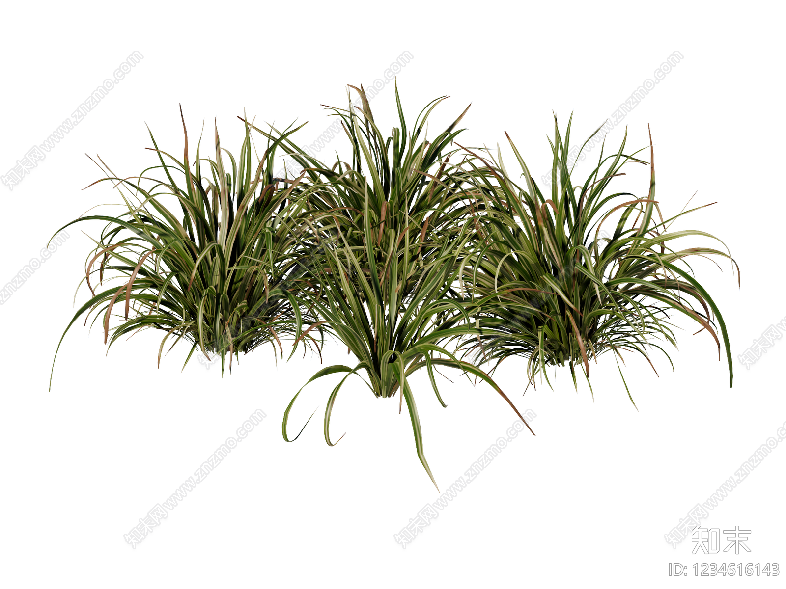 草本植物SU模型下载【ID:1234616143】
