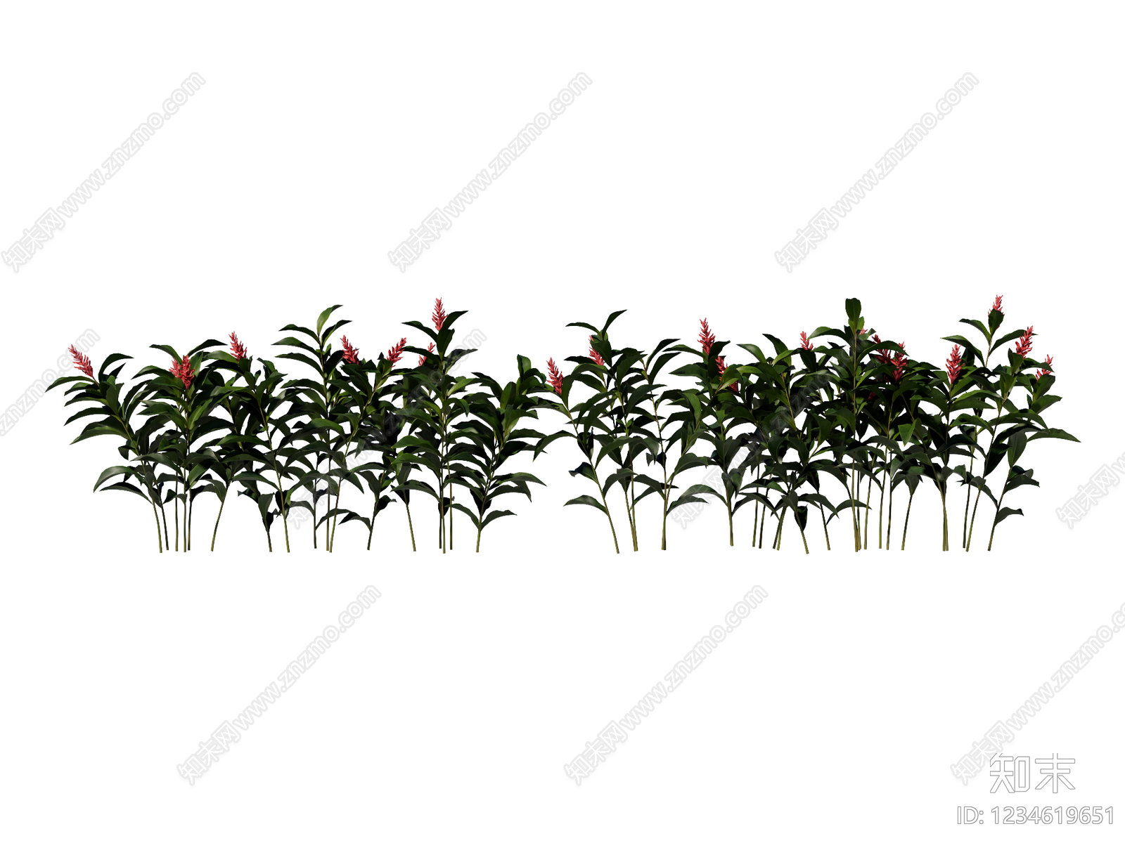 花境SU模型下载【ID:1234619651】