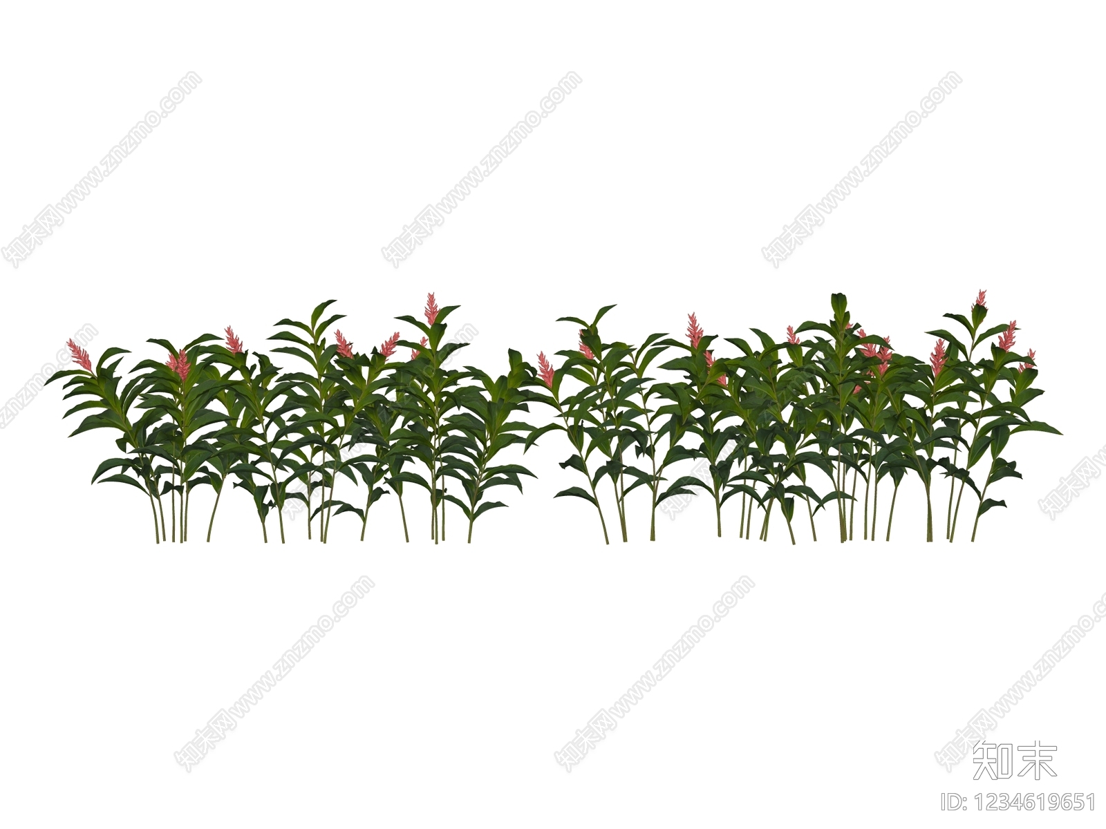 花境SU模型下载【ID:1234619651】