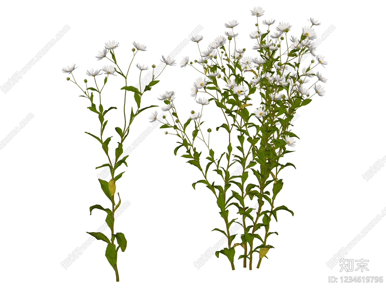 花草SU模型下载【ID:1234619796】
