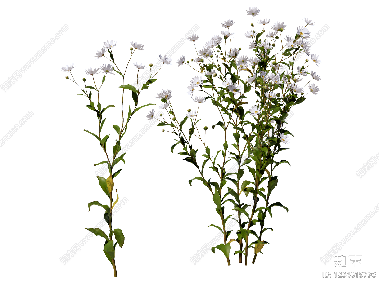 花草SU模型下载【ID:1234619796】