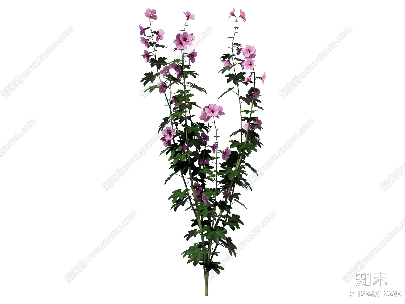 花草SU模型下载【ID:1234619833】